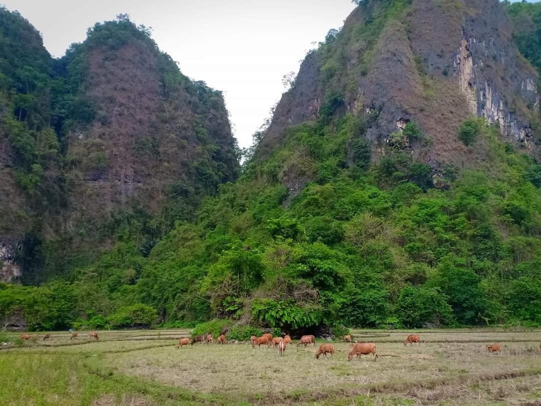 Kampoeng Berua Homestay Kasijala Bagian luar foto