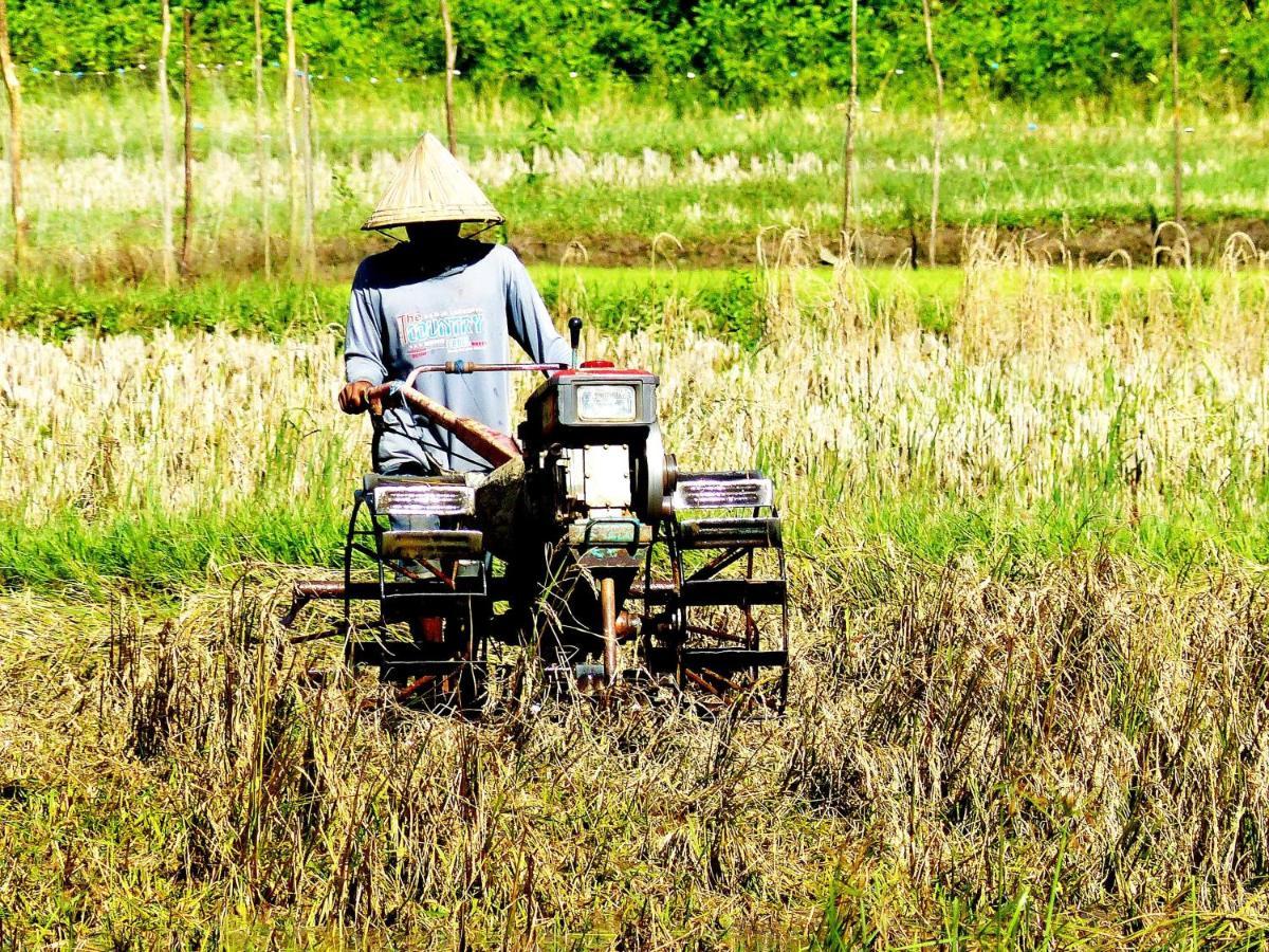 Kampoeng Berua Homestay Kasijala Bagian luar foto