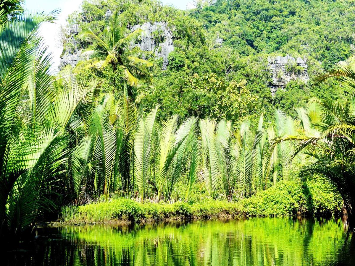 Kampoeng Berua Homestay Kasijala Bagian luar foto