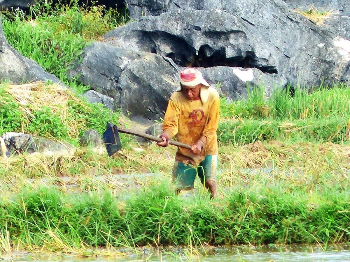 Kampoeng Berua Homestay Kasijala Bagian luar foto
