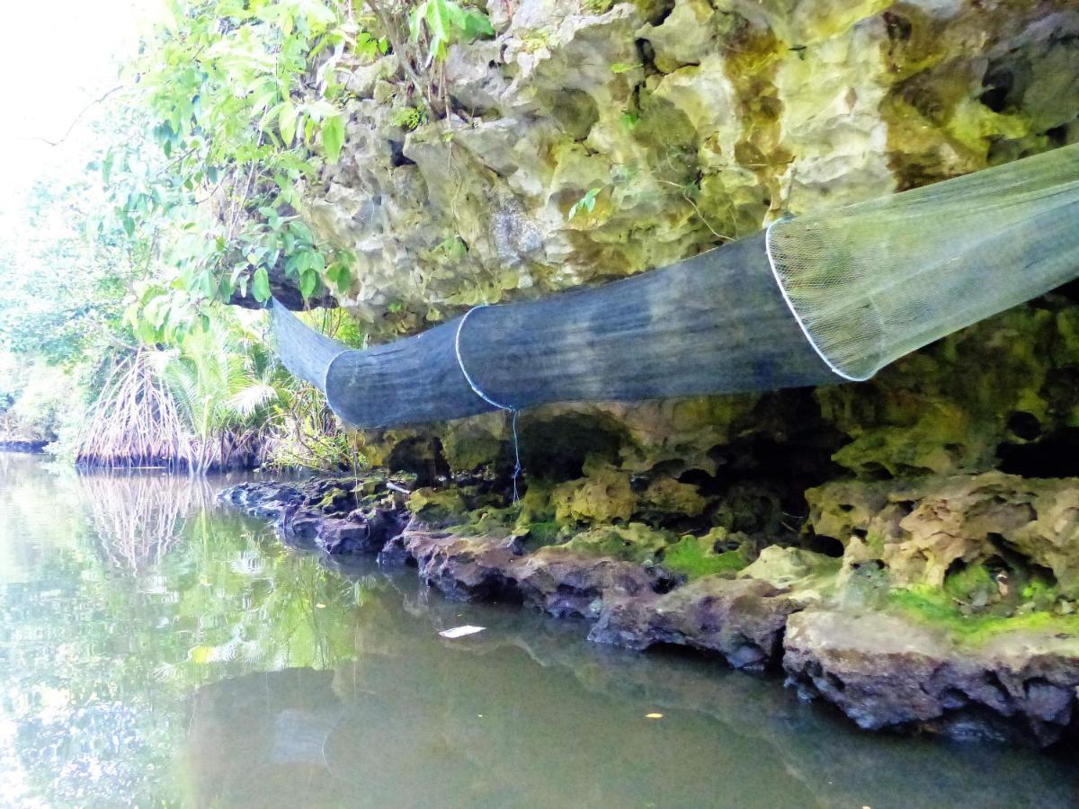 Kampoeng Berua Homestay Kasijala Bagian luar foto