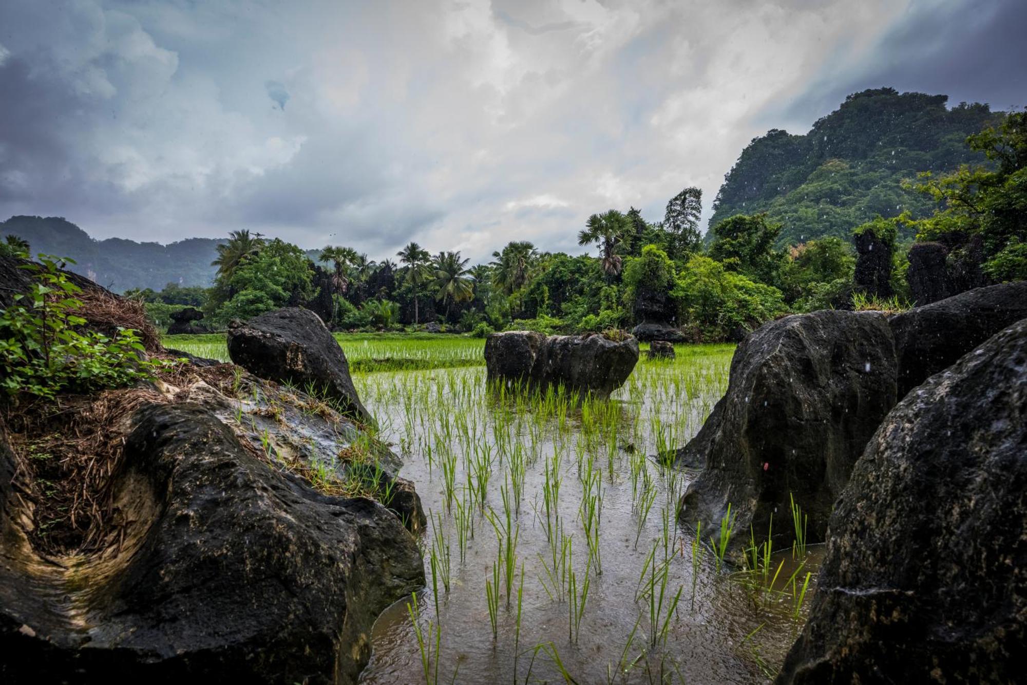 Kampoeng Berua Homestay Kasijala Bagian luar foto