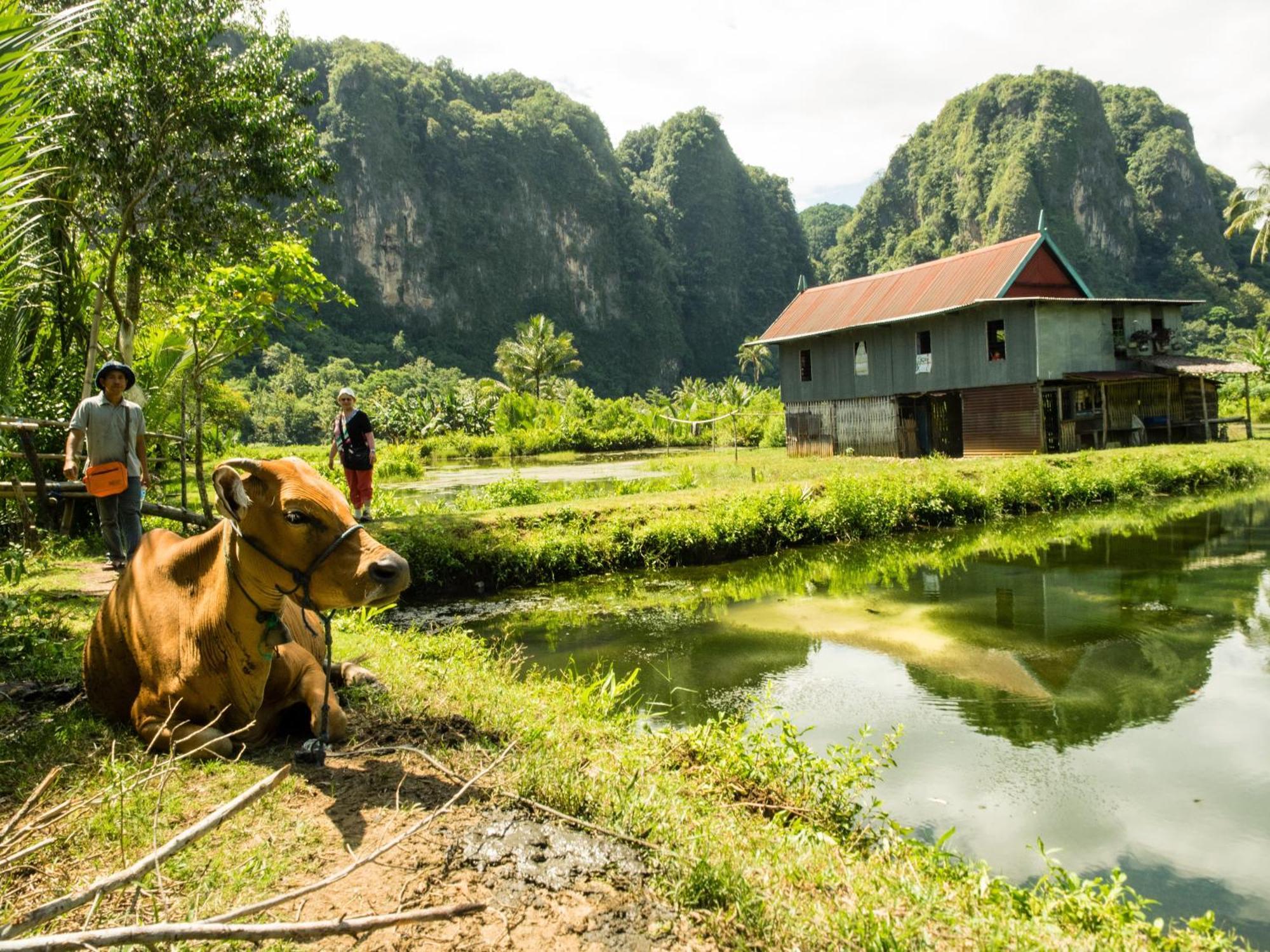 Kampoeng Berua Homestay Kasijala Bagian luar foto